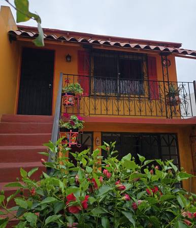 $425 / 1br - Tijuana Studio for rent (TIJUANA)63933119735170120
