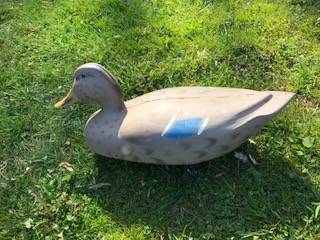 Duck Decoy 1