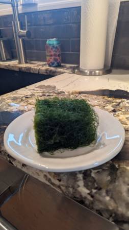Chaeto Macro Algae (Greenwood Village)63921365330435122
