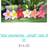 Wedding Hair Accessories Hawaiian Hair Flowers 23 thumbnail