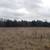 - 53 Acres 5 thumbnail