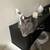 Cats 2 thumbnail