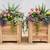 planter boxes 2 thumbnail