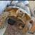 Tortoise 1 thumbnail
