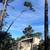 Tree service/tractor work/landscaping,San Jose,Morgan Hill Holliste Gi 1 thumbnail