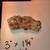 Minerals, Geodes, Agate  ad #6 of 7 3 thumbnail