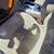 2011 Jeep Grand Cherokee - Overland 14 thumbnail