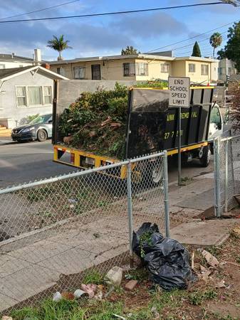 CUTT TREES REMOVAL 🌳 🌲🌴🌿🪾 1