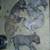 Pitbull xl rednose fawn puppies 1 thumbnail