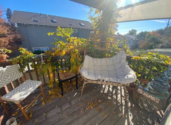 $2,000 / 2br - Beautiful, sun-lit home in Rockridge: Room for rent (Rockridge)63667994694401123