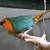 FINCHES SEAGREEN PARROT FINCH 1 thumbnail