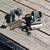 Lumber rack 3 thumbnail