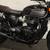 2022 TRIUMPH T120 BLACK 13 thumbnail