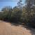 Land FOR SALE ARKANSAS TROPHY LOT | PRIVATE CORNER LOT Owner Finance 5 thumbnail