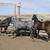 2 yo blue roan filly / Horse 3 thumbnail