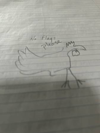 Roosters 1