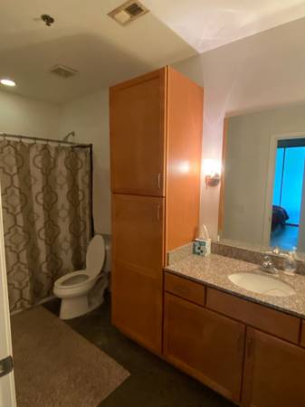 $250 / 1br - 775ft2 - Seeking cool F Roommate for Old 4th Ward Loft (Old 4th Ward next to the Beltline)63963858860930124