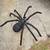 36 in. Spider 4 thumbnail