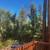 Live below the Redwoods! - Los Gatos Mountains area (los gatos) 21 thumbnail