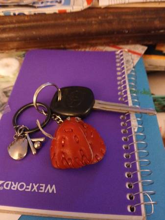 Found key (Toyota) (Eugene)64180049362690120