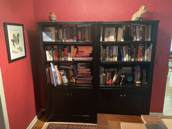 black bookcase 1