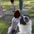 Saint Bernard mix 2 thumbnail