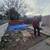 Property Cleanouts,Demolition,Junk Removal,Local Moving 5 thumbnail