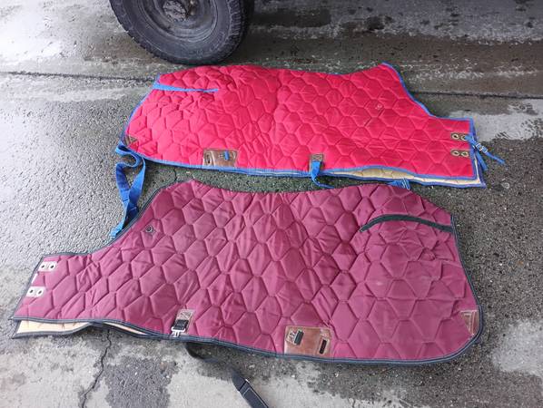 Two like new horse blankets 1