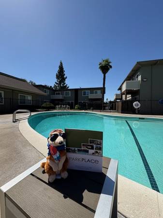 $1,570 / 1br - 613ft2 - Fall in Love with Your Beautiful New Home! (Turlock)63970445951491123