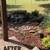 Landscape construction Foreman and crew 2 thumbnail