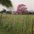MEXICO RANCH. 10,000 + ACRES PLUS IMPROVEMENTS. WONDERFUL! 3 thumbnail