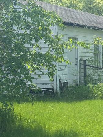 $12,000 / 4br - 1234ft2 - Project duplex (Upham)64038878984193120