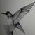 Museum Framed Hummingbird PHIL TAILLEUR Signed Limited Edition 19/200 11 thumbnail