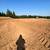 Land Development-Excavation & Grading-Septic System Install-Driveways 9 thumbnail