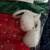 Price Reduced Price New Vintage Christmas Knit Stockings 4 thumbnail