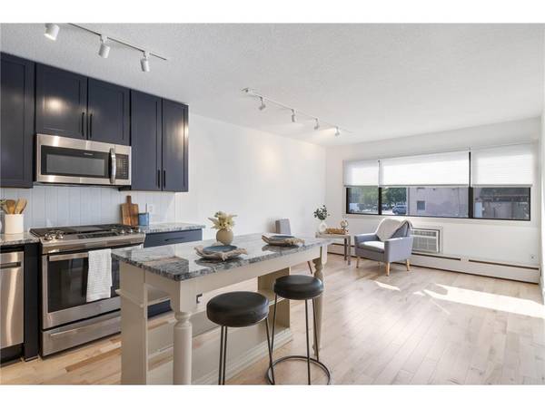 $119,900 / 1br - 500ft2 - Remodeled Stunning 1 Bedroom Condo in Minneapolis (Minneapolis)63868701704195123