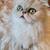 Female Persian 2 thumbnail