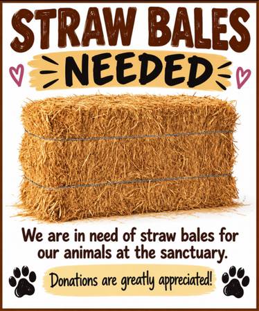 Straw needed 1