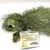 Webkinz Ganz Green Gecko HM186 Lizard Stuffed Animal New Sealed Tag 5 thumbnail