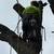 DIVINO LANDSCAPING AND TREE SERVICES 5 thumbnail