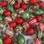 (8pc) "Old World" Red, Green, Silver and White Garland 2 thumbnail