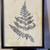 Fern Wall Art 16” x 20” New (Bachman’s) 1 thumbnail
