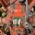 706 Farmall International 4 thumbnail