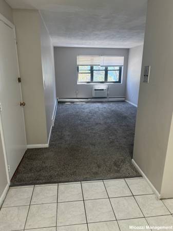 $2,595 / 2br - *NO FEE* Open layout, sunny, BIG kitchen w/DW, *NOW* (Brighton)63699295003521123
