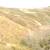 Breathtaking View in Malibu Area 10 thumbnail