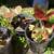 Various succulent plants from $5 to $40 9 thumbnail