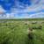 30 Acres in north Bakersfield for sale or lease - Seller Finance 9 thumbnail