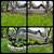 Landscaping, Lawn Mowing, Yard Clean up,  Trimming, Mulching 19 thumbnail