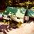 Pine Creek Cabin Vac Rental NO FEES!  FALL RIDE WEEKEND OPEN! 21 thumbnail