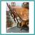 Baker Furniture Louis Xv Style Extension Dining Table + 10 Dining Chai 8 thumbnail